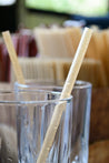 Sugarcane Drinking Straws - Standard (7.87 in) - 1,000 ct